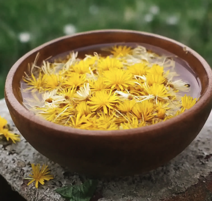 Dandelion bitter